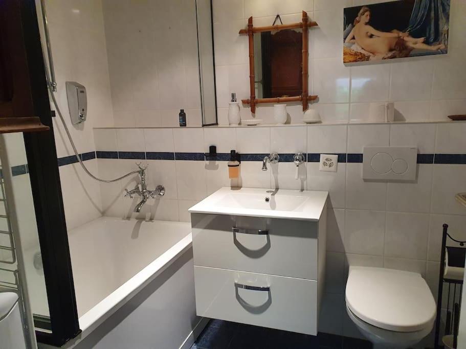 Appartement Dans Un Jardin ジュネーブ エクステリア 写真
